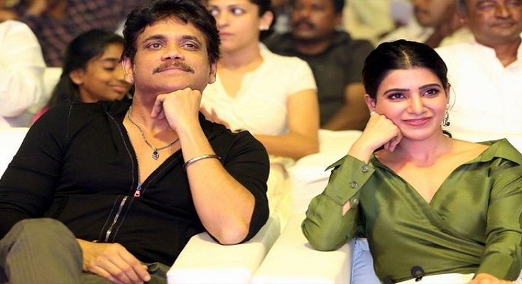 Samantha Akkikeni,samantha,samantha movies,samantha and naga,naga chaitanya,manmadhudu 2,majili,nagarjuna akkineni,nagarjuna,manmadhudu