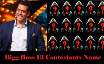 Bigg Boss 13 Contestants List