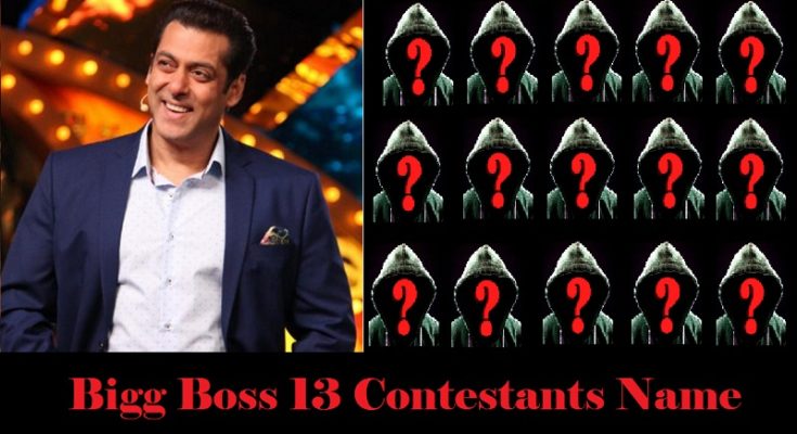 Bigg Boss 13 Contestants List